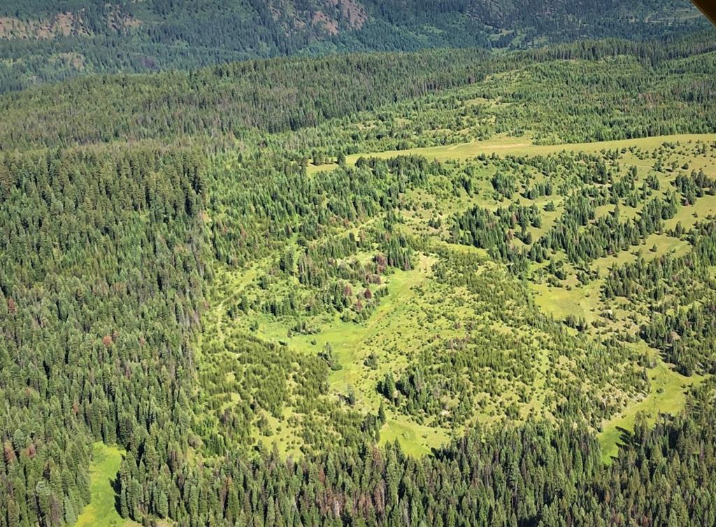 5 Mill Creek Road Grangeville, ID 83530 - Photo 10 of 24