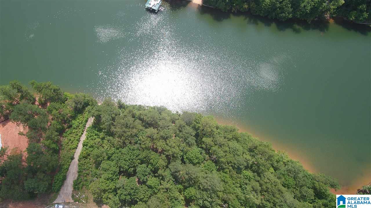 2811 County Road Lineville, AL 36266 - Photo 1 of 8