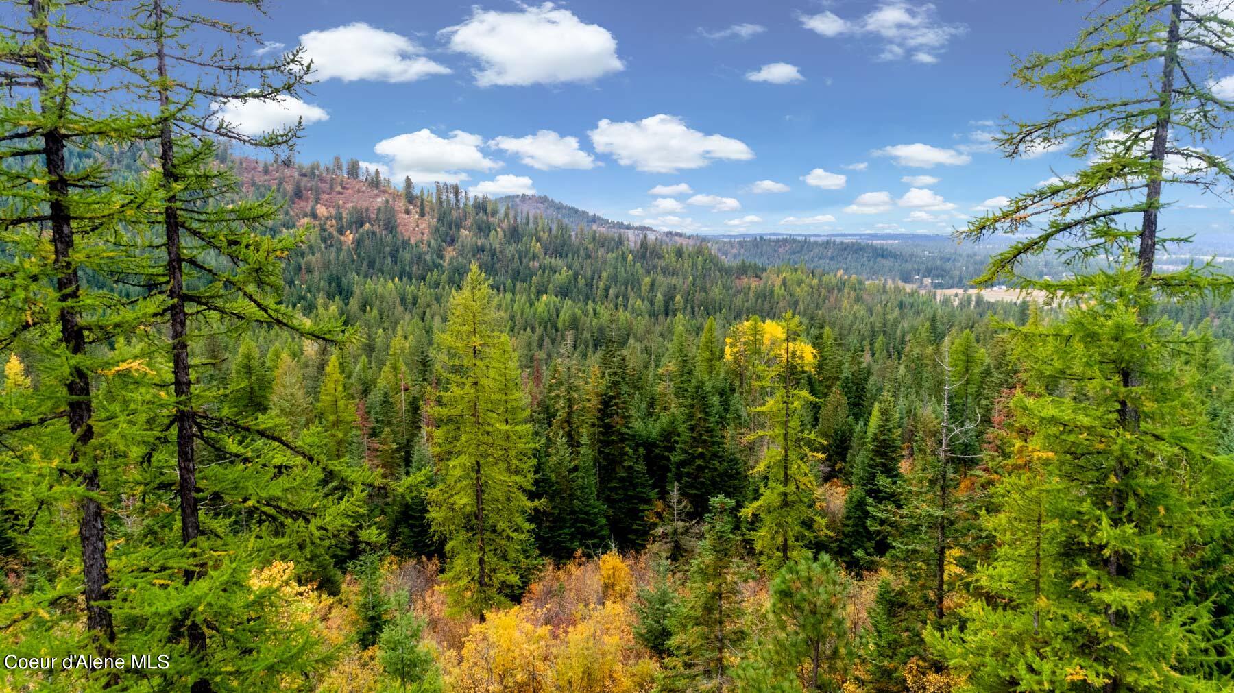 28_DJI_0592-HDR-Edit_WebReady