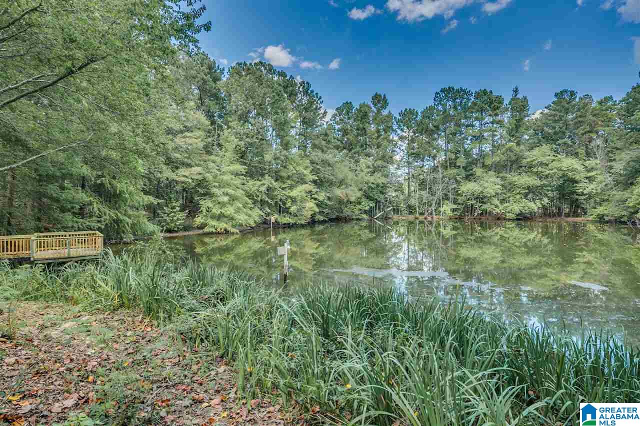 810 Griffin Road Chelsea, AL 35043 - Photo 39 of 50