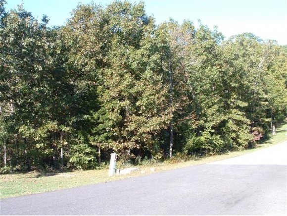 Austin Pl Branson Place Reeds Spring, MO 65737 - Photo 1 of 1 Primary Photo