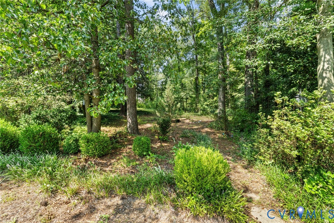 8208 Michael Road Henrico, VA 23229 - Photo 27 of 29 Mature trees with dense foliage, various shrubs, a