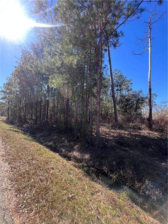 433 Secluded Grove Loop Madisonville, LA 70447 - Photo 2 of 11
