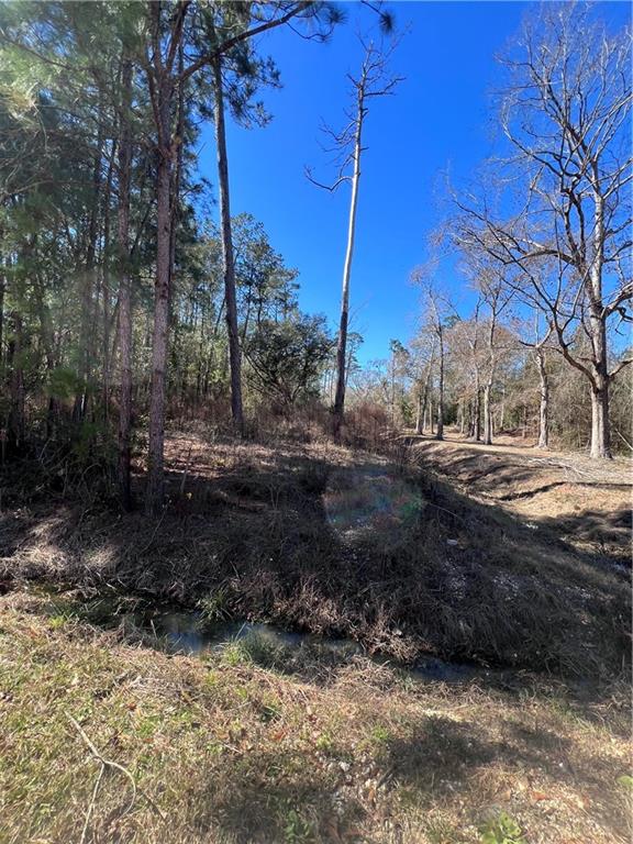 433 Secluded Grove Loop Madisonville, LA 70447 - Photo 3 of 11