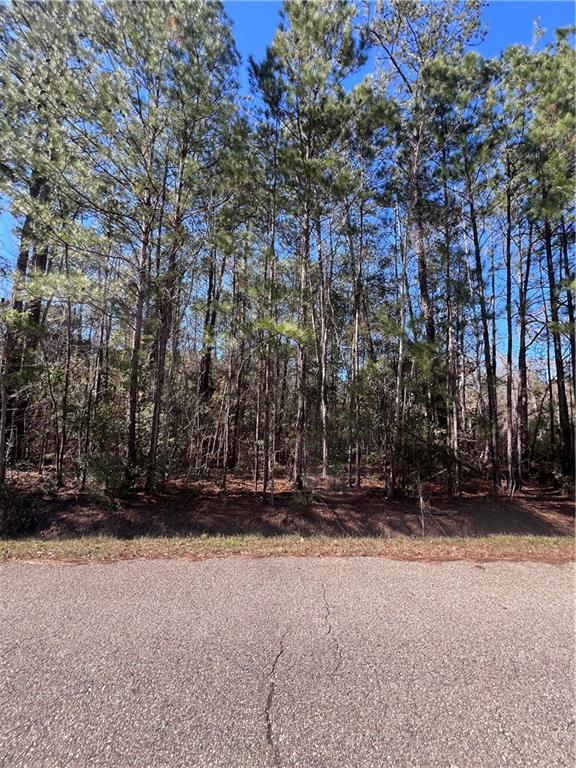 433 Secluded Grove Loop Madisonville, LA 70447 - Photo 4 of 11