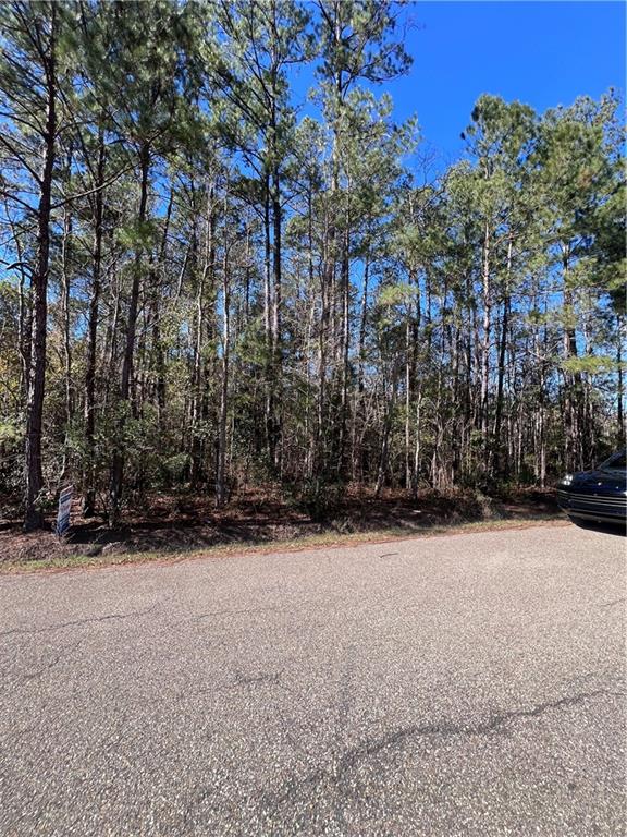 433 Secluded Grove Loop Madisonville, LA 70447 - Photo 6 of 11