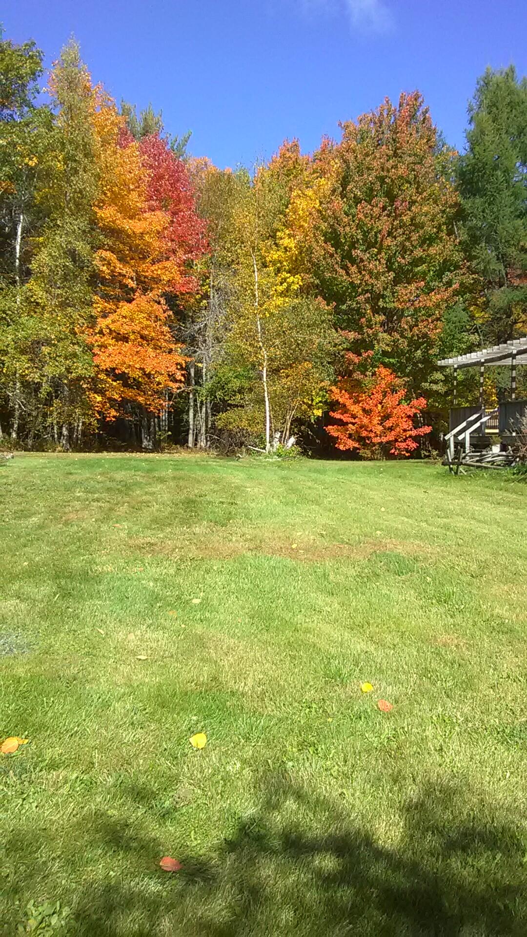 1354 Southgate Road Old Town, ME 04468 - Photo 18 of 51 9E68D9FE-D474-4456-87ED-5F988D2CB1BB