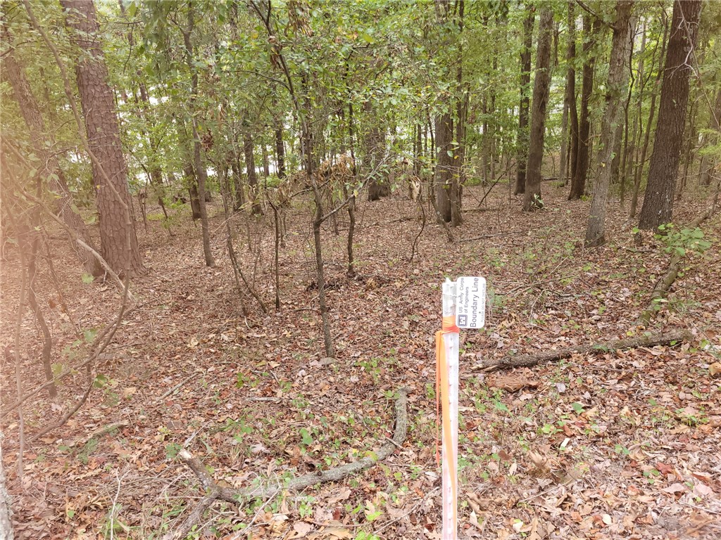 2704 Private Road London, AR 72847 - Photo 13 of 19 Gallery Image 13