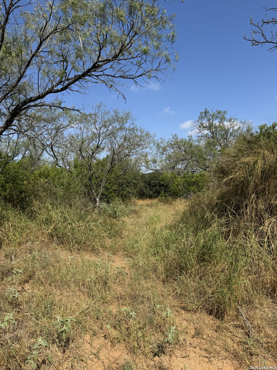 19455 Luckey Road Lytle, TX 78052 - Photo 24 of 32 Gallery Image 24