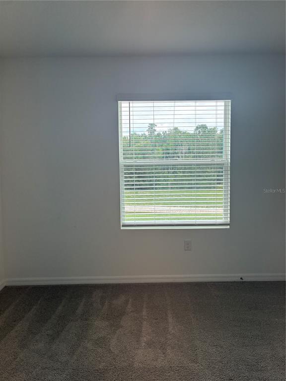 1550 Ranchette Road Wesley Chapel, FL 33543 - Photo 12 of 30