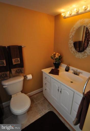 2104 Green Watch Way, Unit 11/101 Reston, VA 20191 - Photo 16 of 17 Master Bath #2