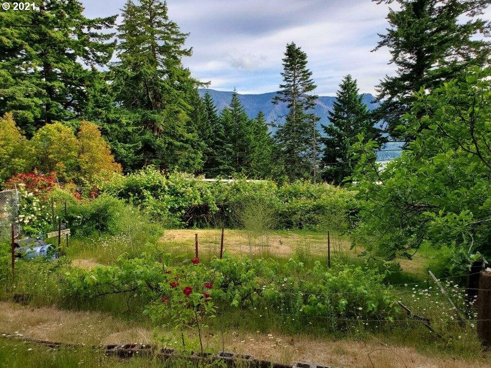 6302 East Loop Road Stevenson, WA 98648 - Photo 9 of 22 Gallery Image 9