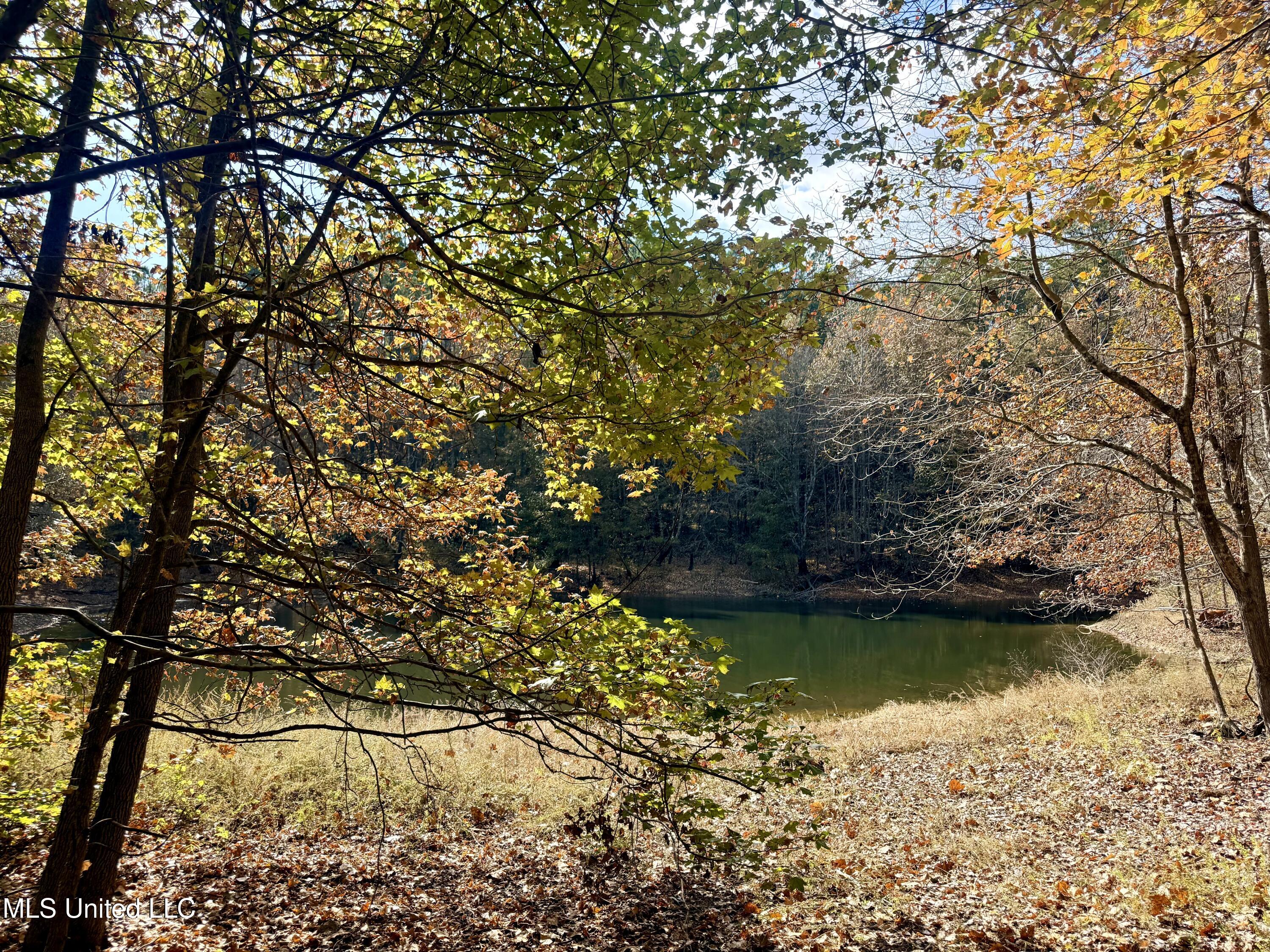 0 Laws Hill Road Holly Springs, MS 38635 - Photo 11 of 28 IMG_3419