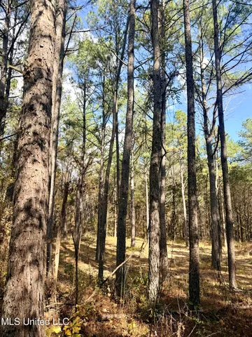 $969,000 | 0 Laws Hill Road, Holly Springs, MS 38635