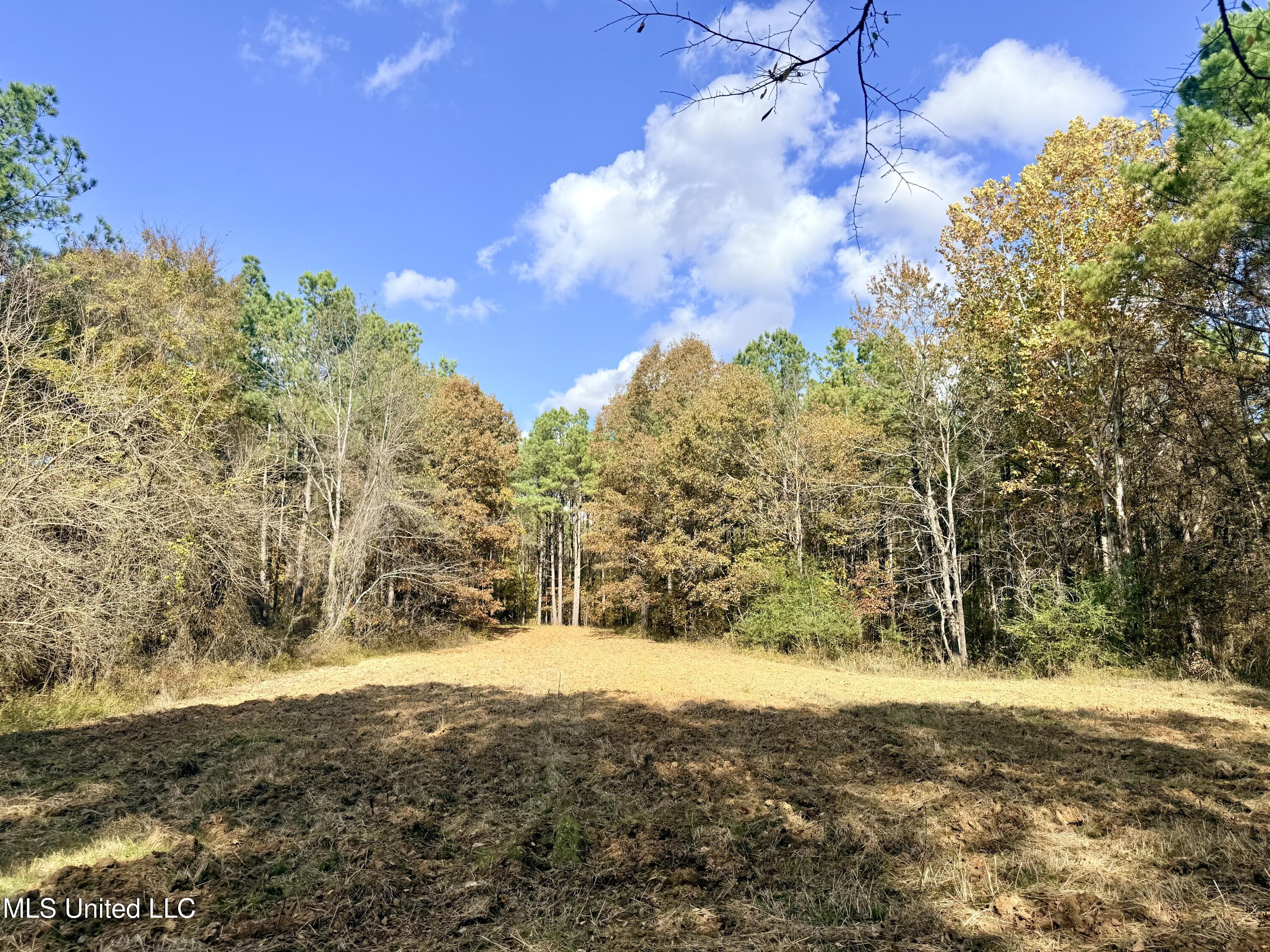 0 Laws Hill Road Holly Springs, MS 38635 - Photo 13 of 28 IMG_3421