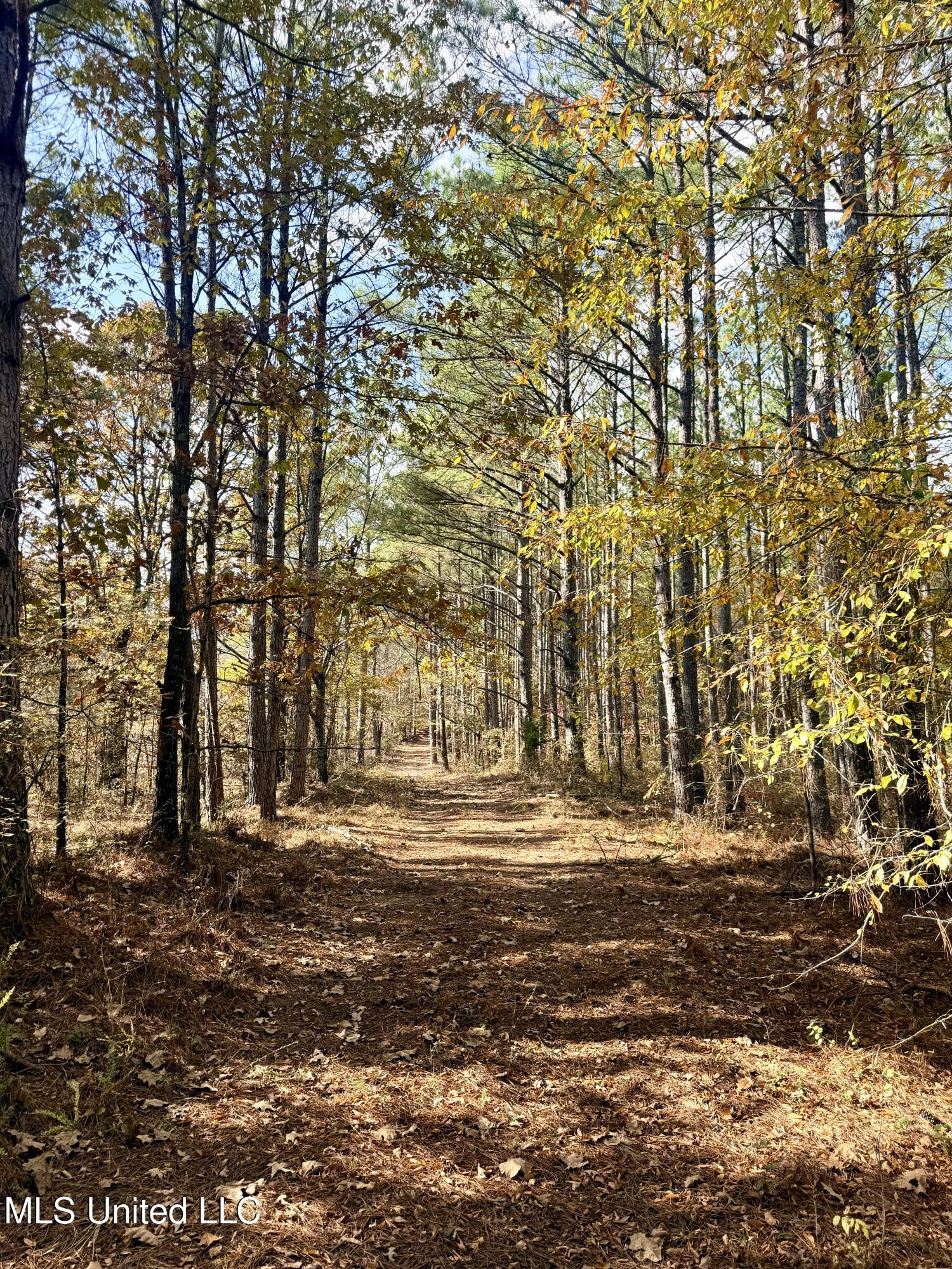 0 Laws Hill Road Holly Springs, MS 38635 - Photo 14 of 28 IMG_3422