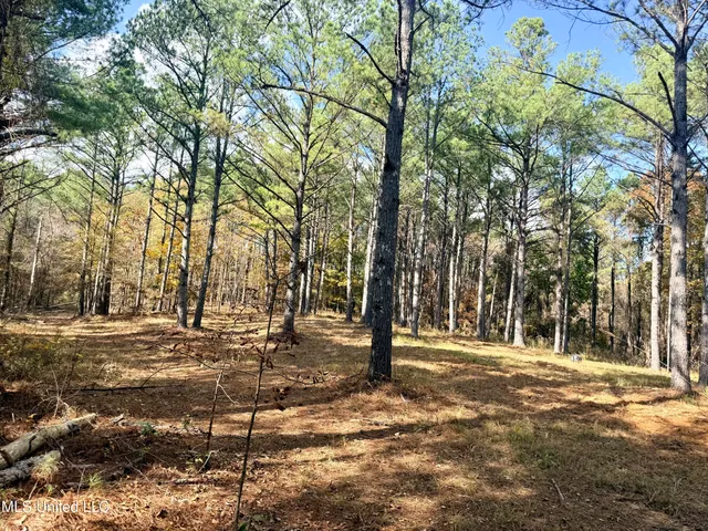 $969,000 | 0 Laws Hill Road, Holly Springs, MS 38635