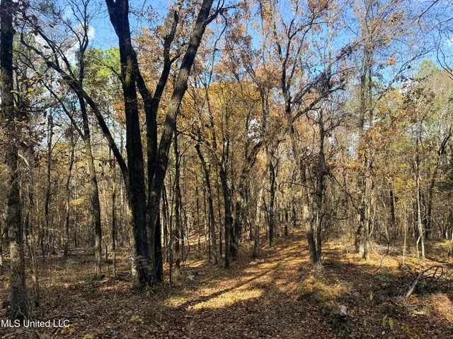 $969,000 | 0 Laws Hill Road, Holly Springs, MS 38635