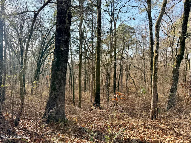 $969,000 | 0 Laws Hill Road, Holly Springs, MS 38635