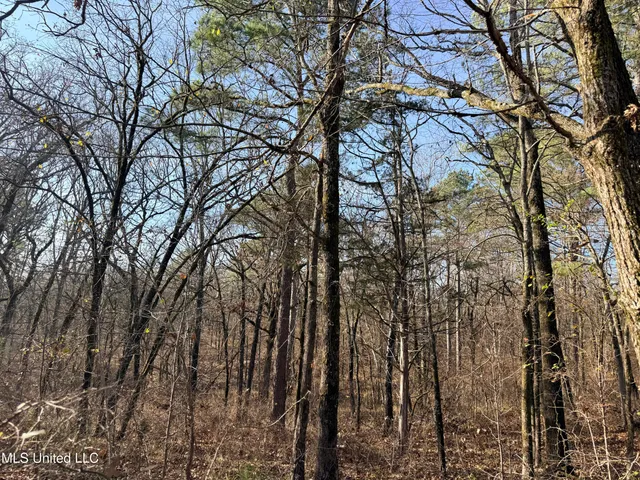 $969,000 | 0 Laws Hill Road, Holly Springs, MS 38635