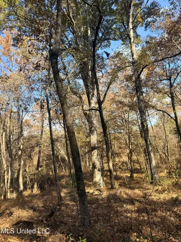 $969,000 | 0 Laws Hill Road, Holly Springs, MS 38635