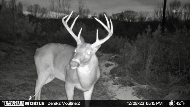 0 Laws Hill Road Holly Springs, MS 38635 - Photo 21 of 28 IMG_3971