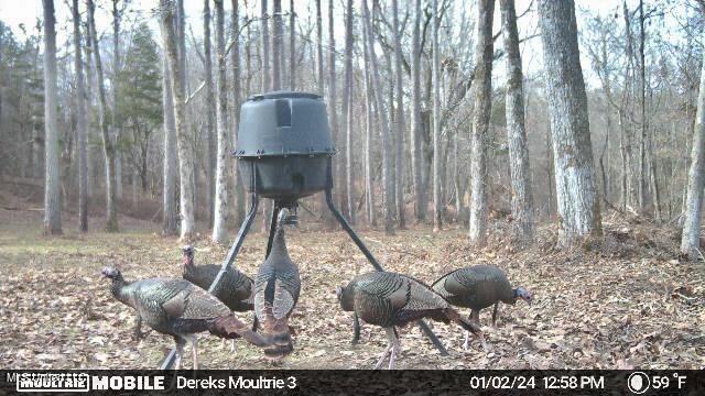 0 Laws Hill Road Holly Springs, MS 38635 - Photo 22 of 28 IMG_3972 (1)