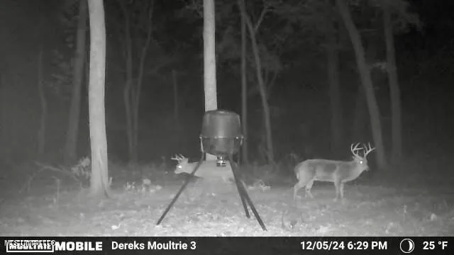 $969,000 | 0 Laws Hill Road, Holly Springs, MS 38635