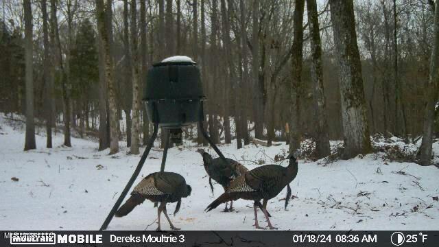 0 Laws Hill Road Holly Springs, MS 38635 - Photo 25 of 28 IMG_3977