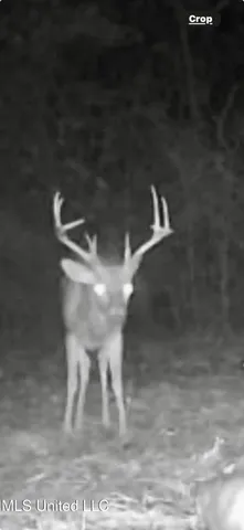 $969,000 | 0 Laws Hill Road, Holly Springs, MS 38635