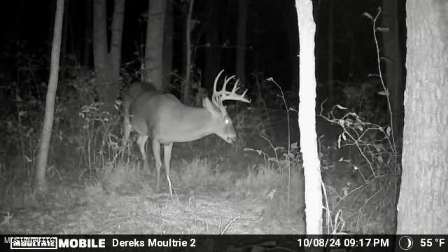 $969,000 | 0 Laws Hill Road, Holly Springs, MS 38635