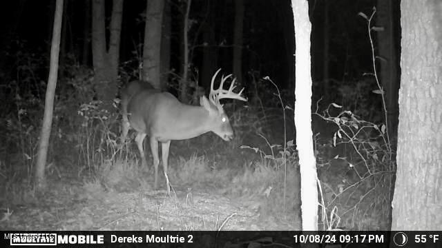 0 Laws Hill Road Holly Springs, MS 38635 - Photo 27 of 28 IMG_3979