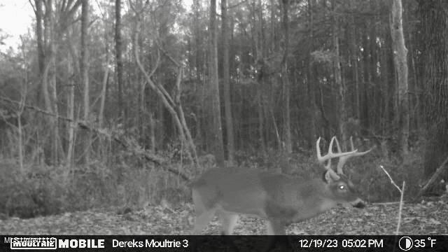 0 Laws Hill Road Holly Springs, MS 38635 - Photo 28 of 28 IMG_3980