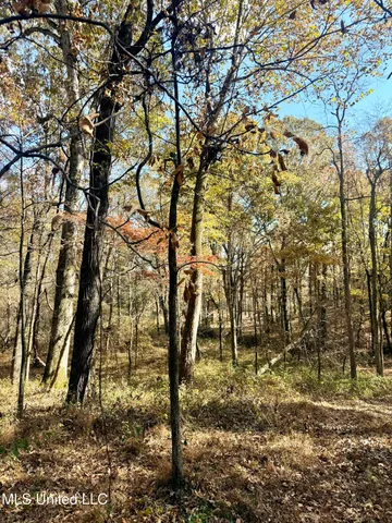 $969,000 | 0 Laws Hill Road, Holly Springs, MS 38635