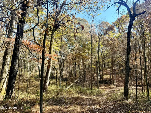 $969,000 | 0 Laws Hill Road, Holly Springs, MS 38635