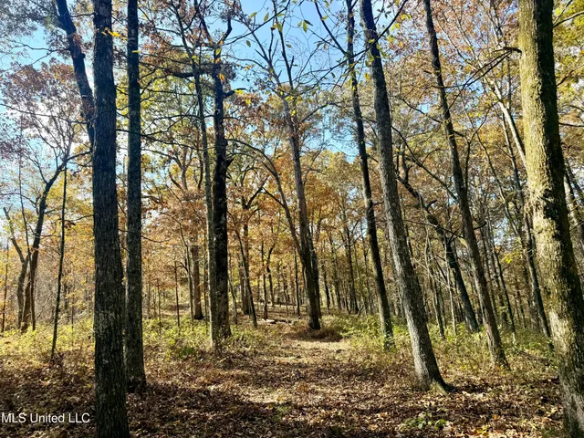 $969,000 | 0 Laws Hill Road, Holly Springs, MS 38635