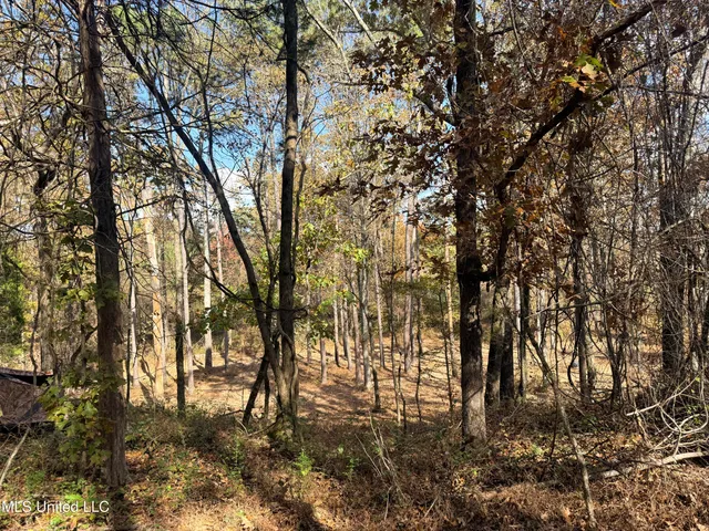 $969,000 | 0 Laws Hill Road, Holly Springs, MS 38635