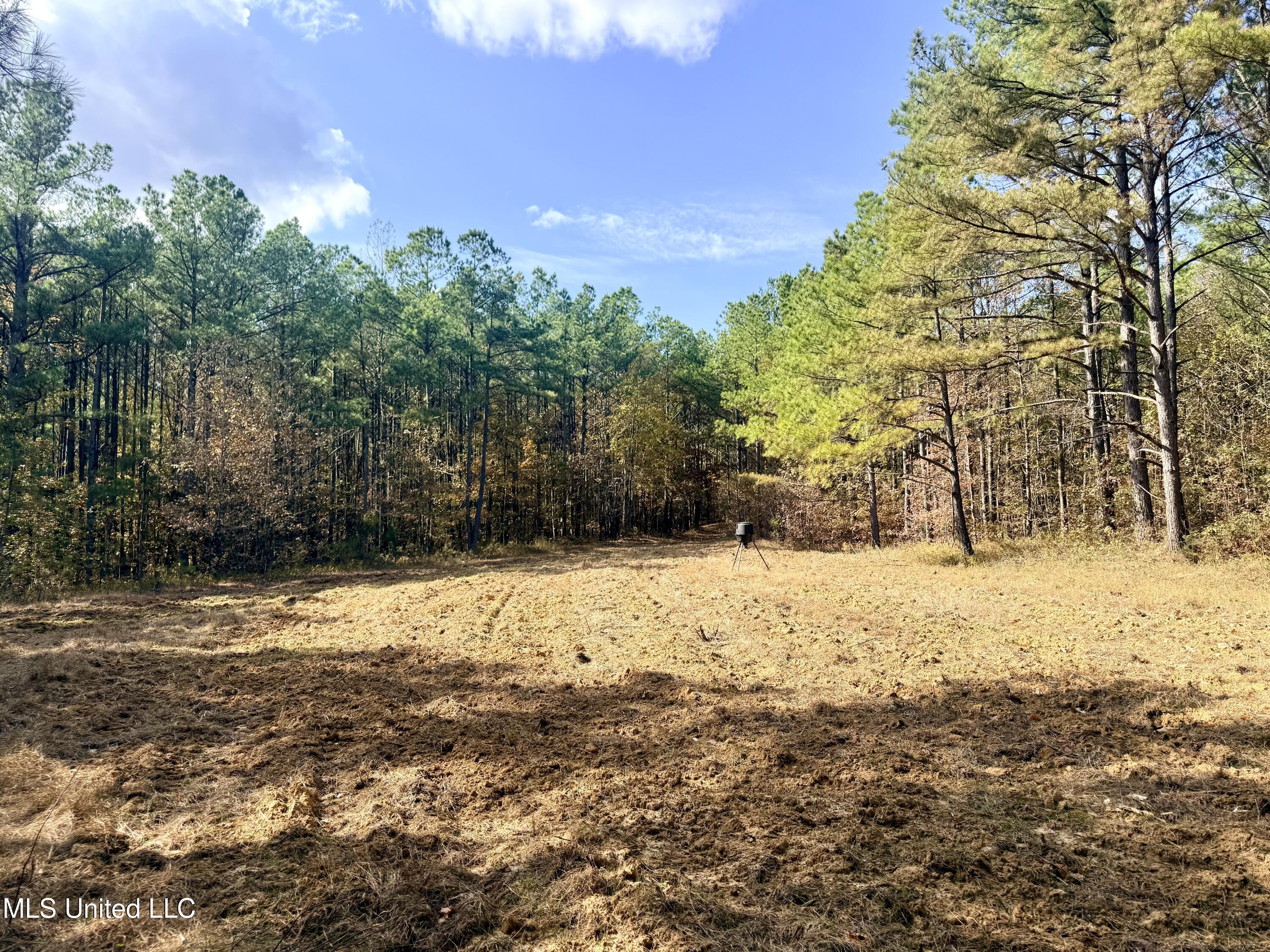 0 Laws Hill Road Holly Springs, MS 38635 - Photo 7 of 28 IMG_3412
