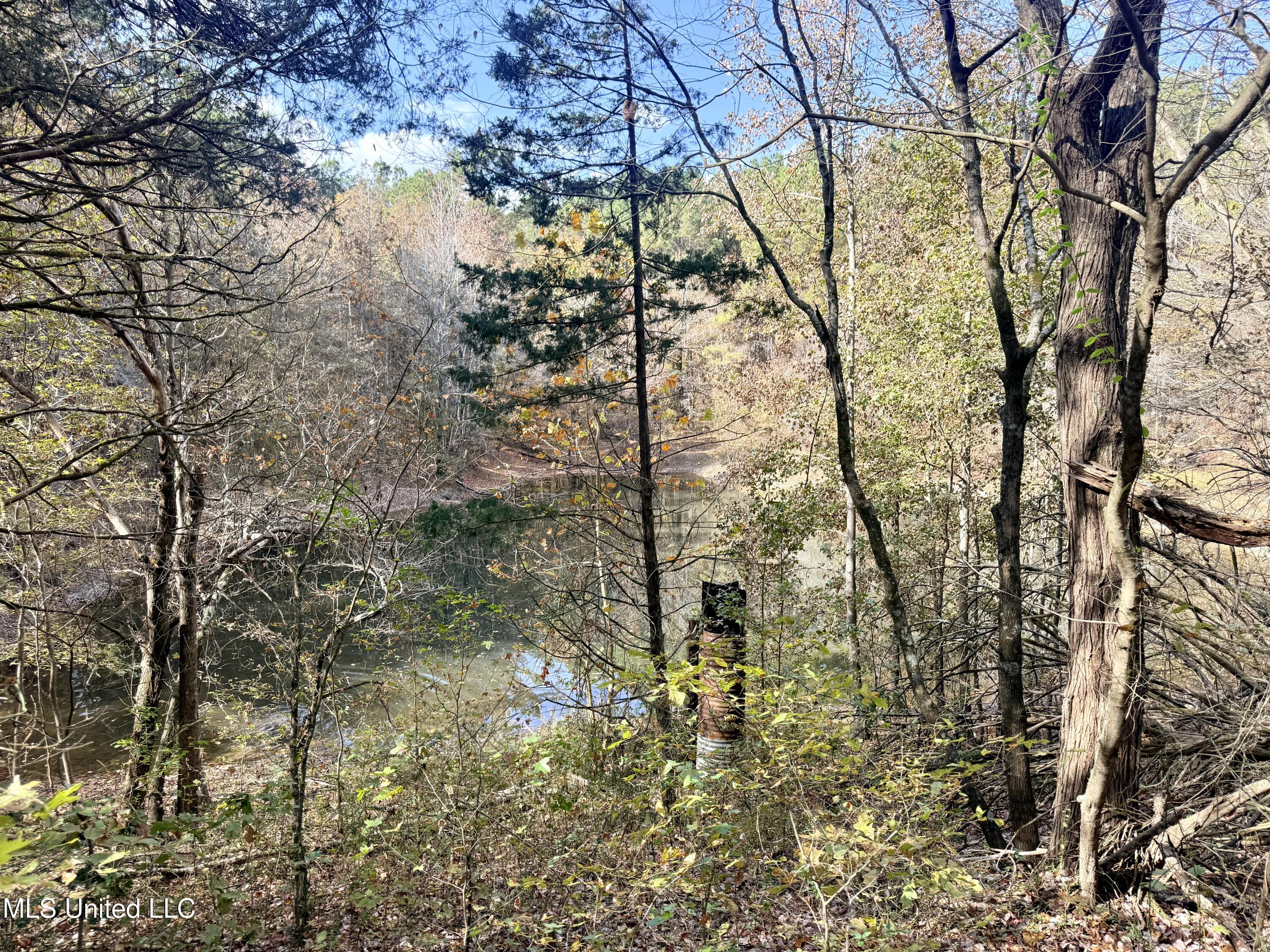 0 Laws Hill Road Holly Springs, MS 38635 - Photo 8 of 28 IMG_3414