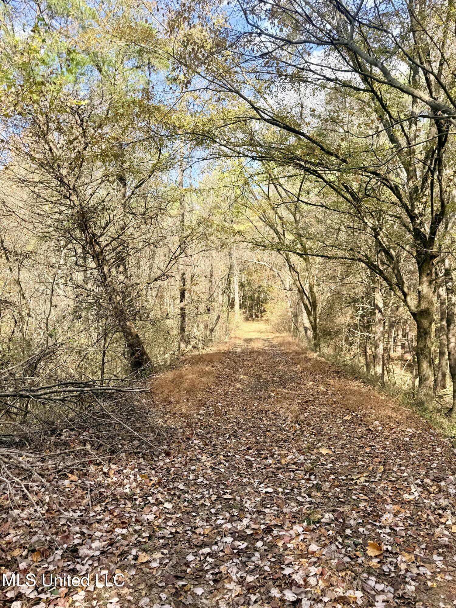0 Laws Hill Road Holly Springs, MS 38635 - Photo 9 of 28 IMG_3415