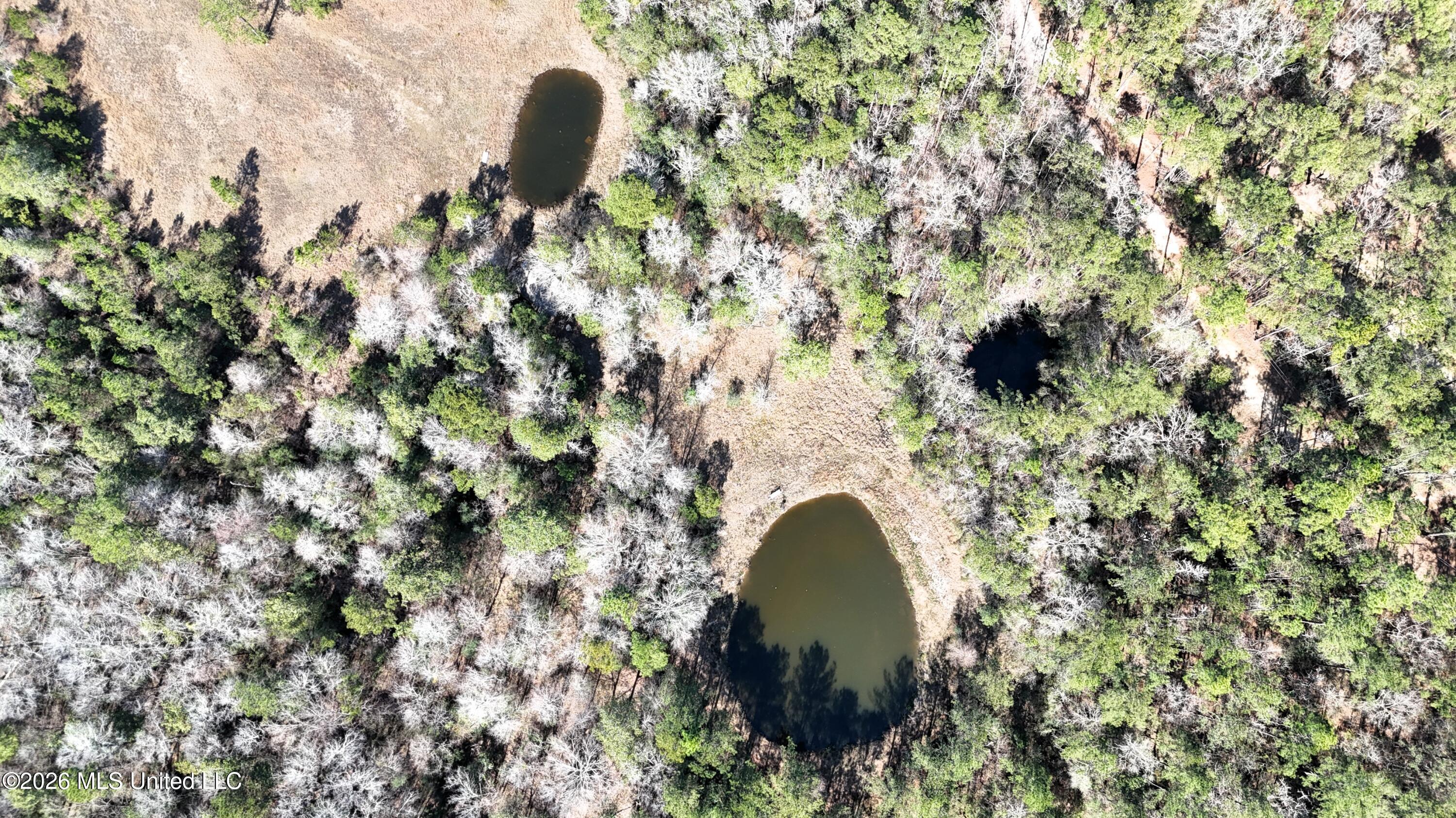 0 Wolf River Road Gulfport, MS 39503 - Photo 11 of 52 DJI_20260228140359_0032_D