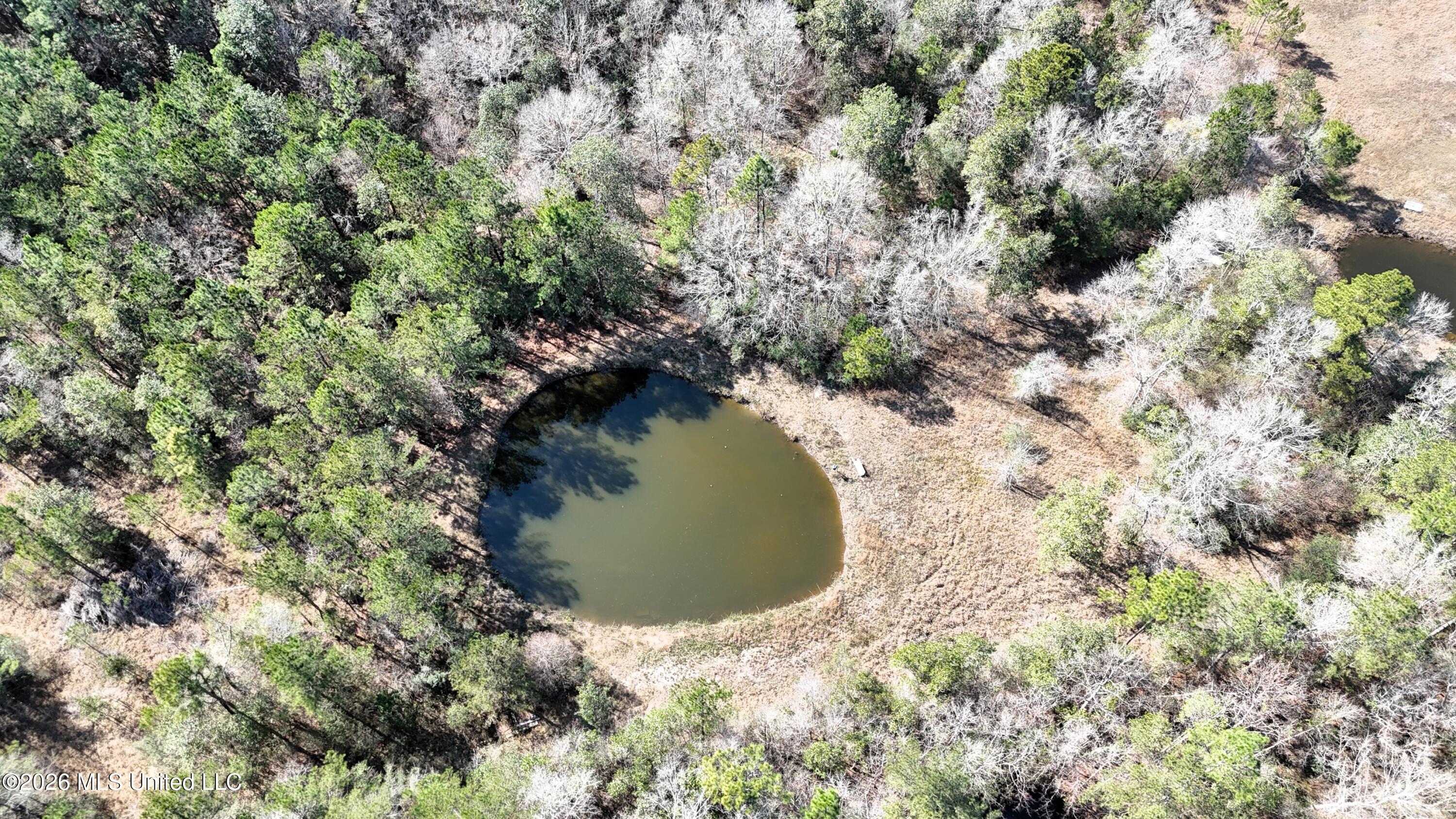 0 Wolf River Road Gulfport, MS 39503 - Photo 14 of 52 DJI_20260228140437_0035_D
