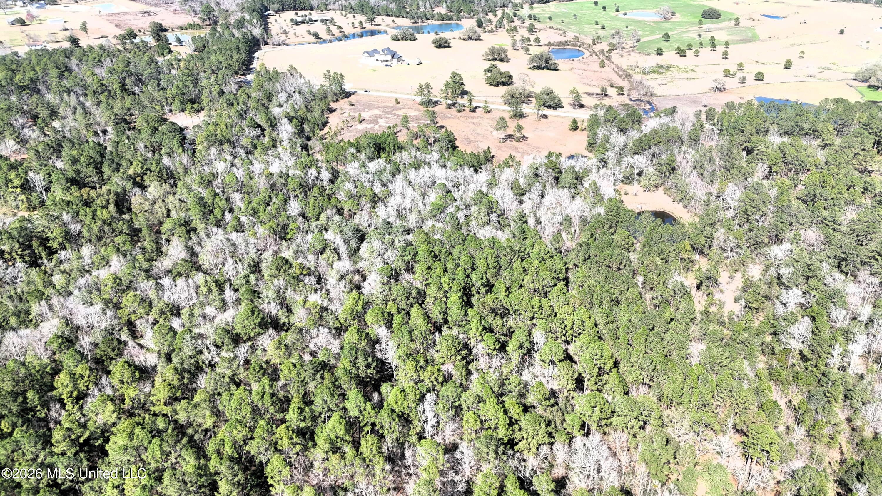 0 Wolf River Road Gulfport, MS 39503 - Photo 17 of 52 DJI_20260228135904_0005_D