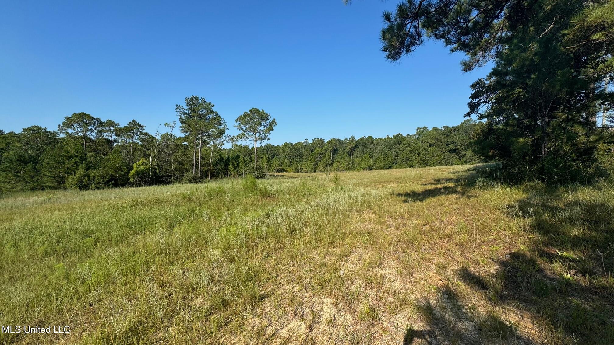 0 Wolf River Road Gulfport, MS 39503 - Photo 2 of 52 IMG_9783