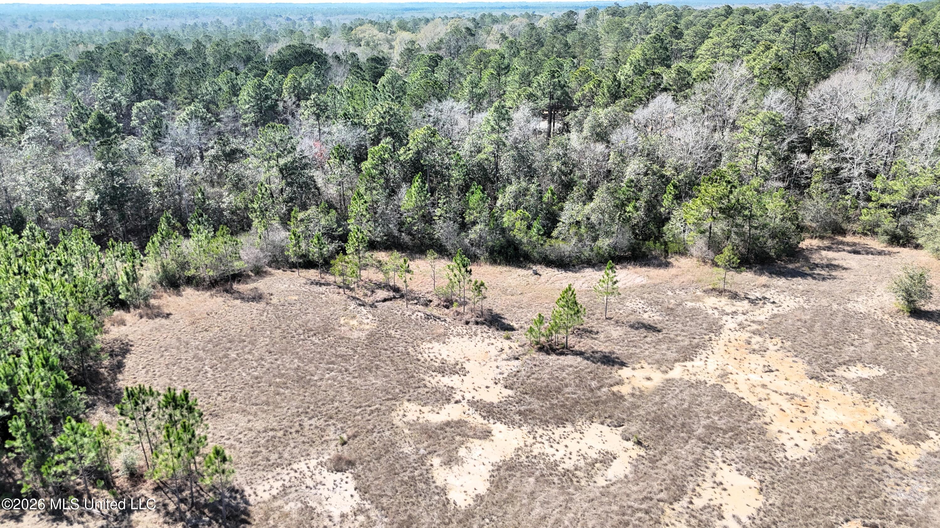 0 Wolf River Road Gulfport, MS 39503 - Photo 30 of 52 DJI_20260228140547_0046_D