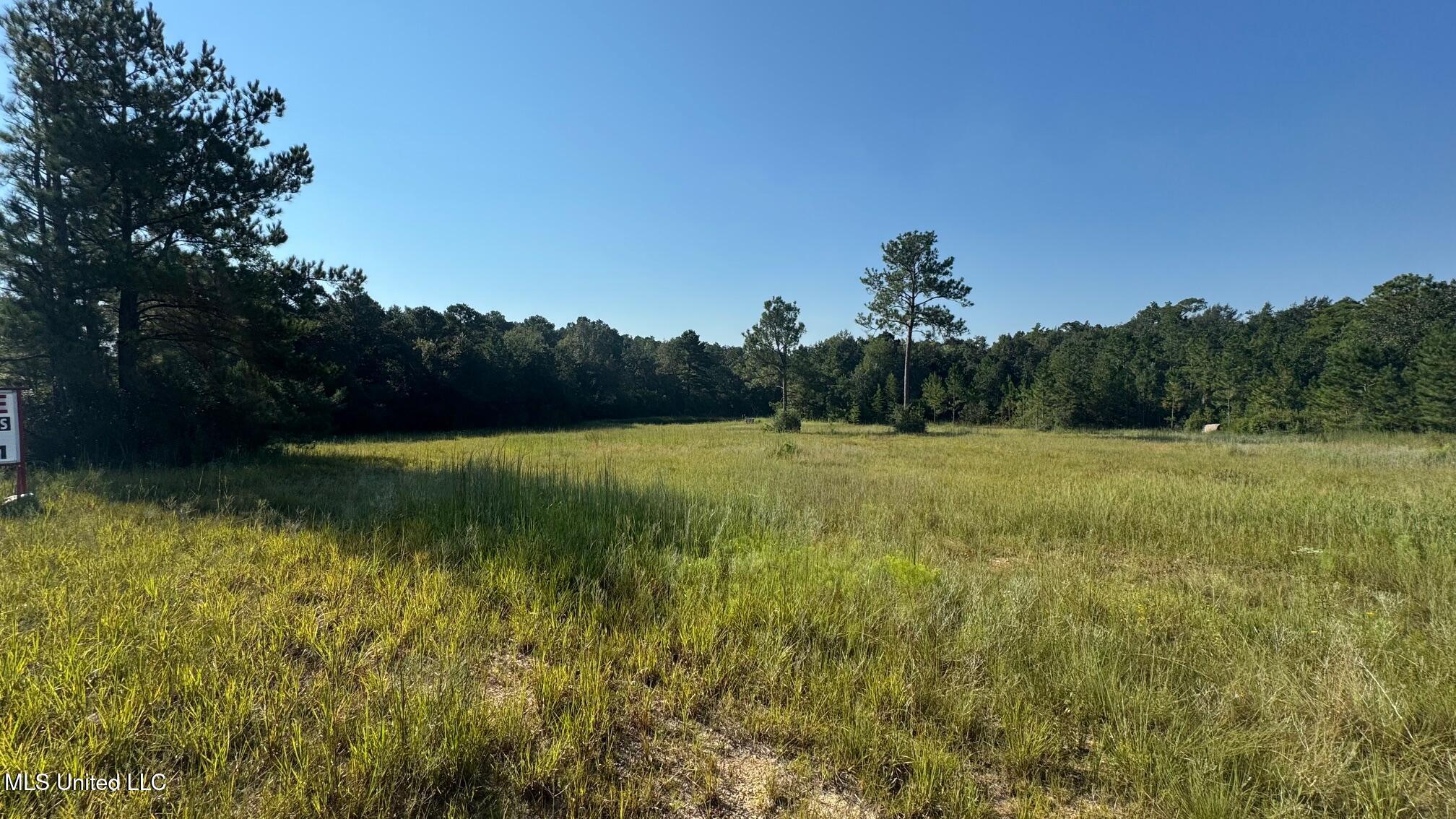 0 Wolf River Road Gulfport, MS 39503 - Photo 3 of 52 IMG_9782