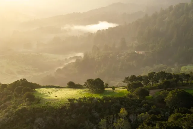 a view of a lake with a mountain