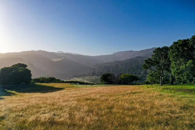 a view of a field with an trees in the background