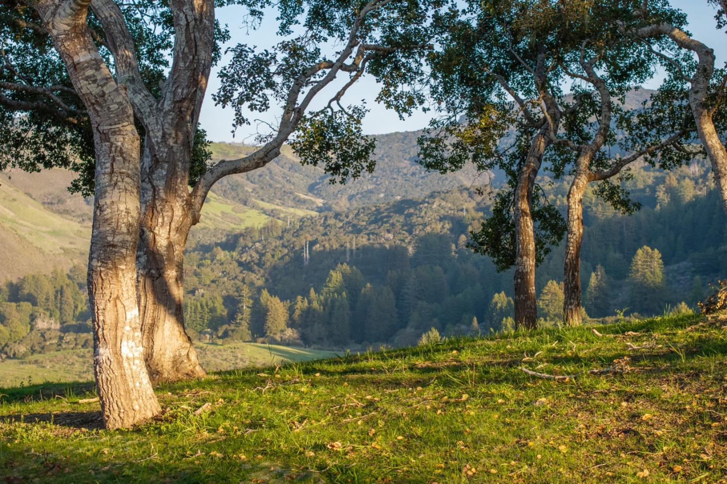 17 Rancho San Carlos Road Carmel, CA 93923 - Photo 9 of 24