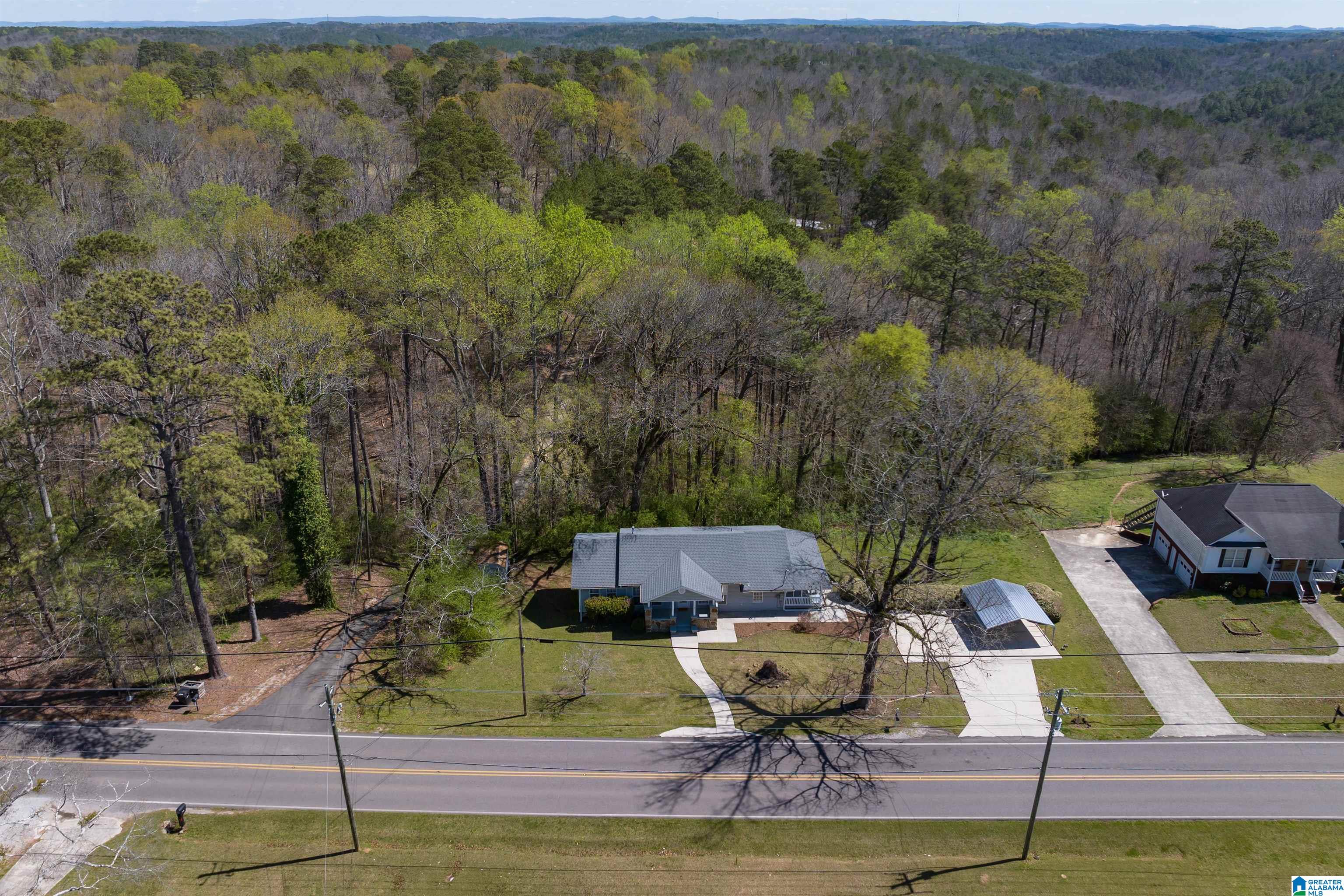 3645 Mt Olive Road Mount Olive, AL 35117 - Photo 36 of 42